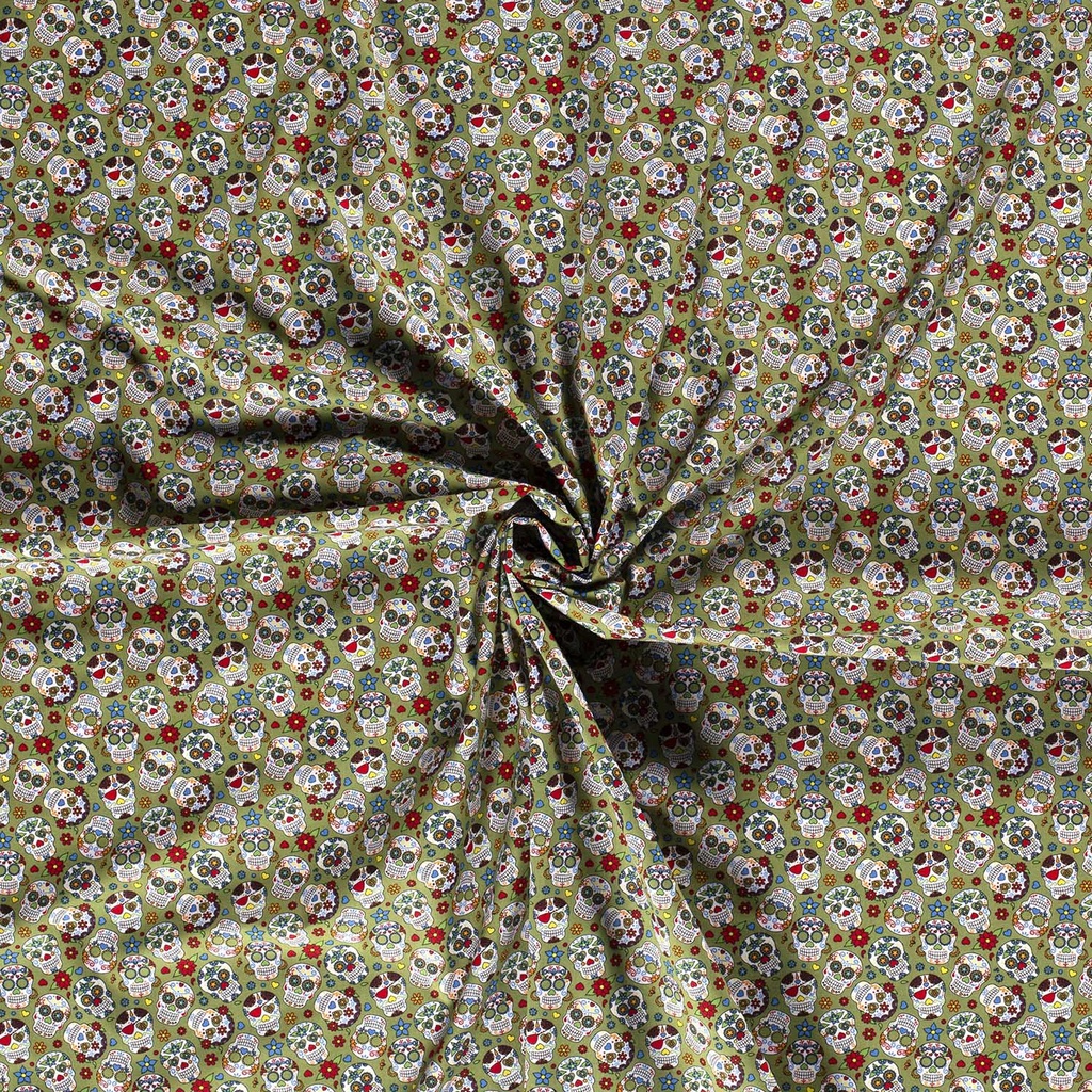 515807-026_C.jpg