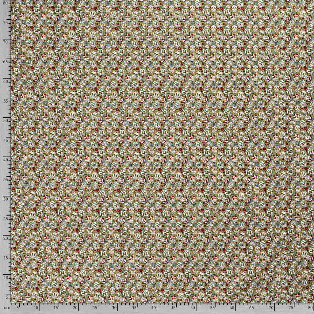 515806-026_F.jpg