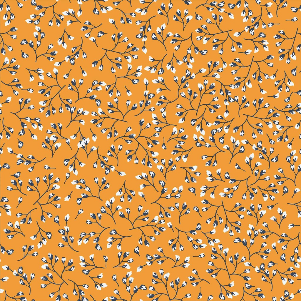 515554-034_E.jpg