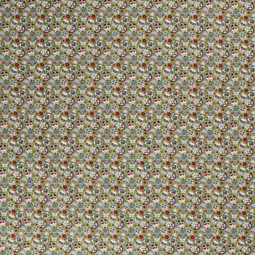 515807-026_B.jpg