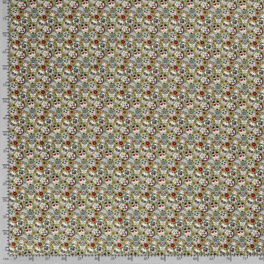 515807-026_F.jpg