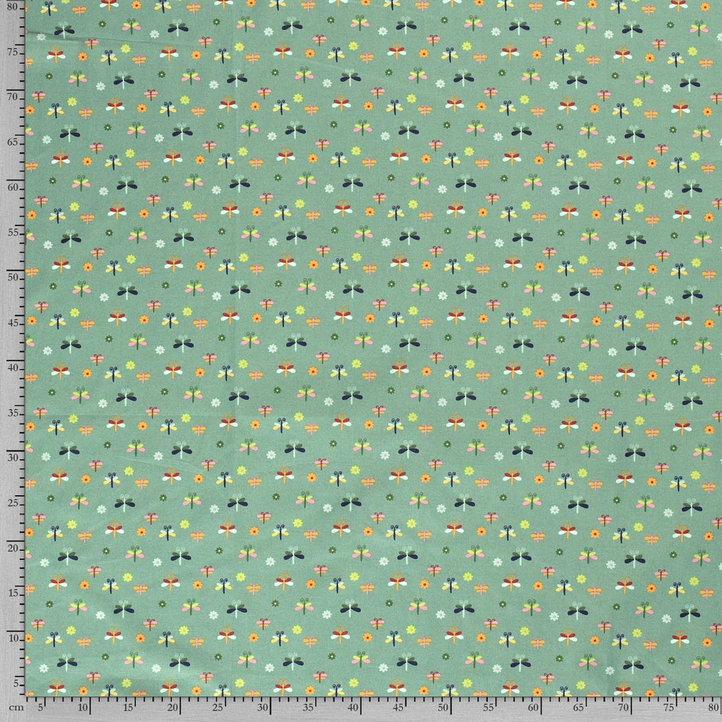 515536-022_F.jpg