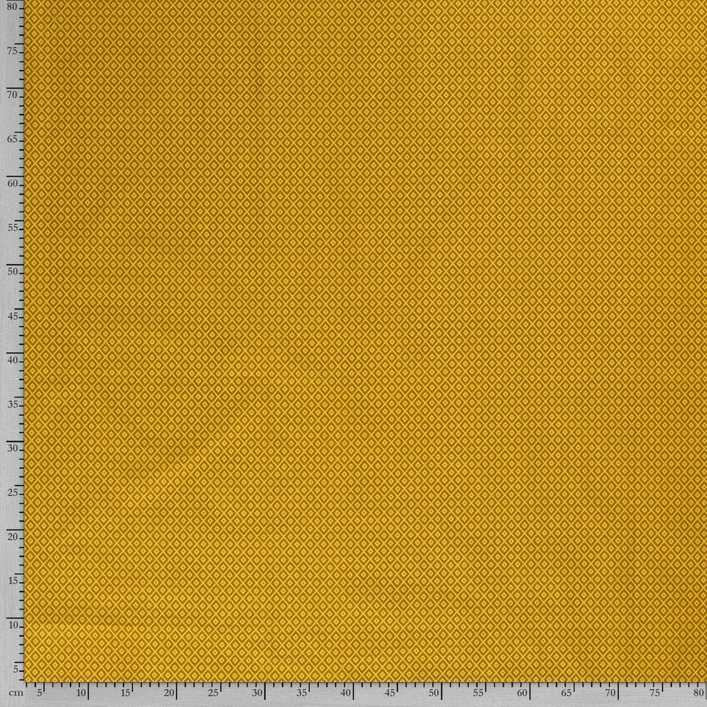 515834-034_F.jpg