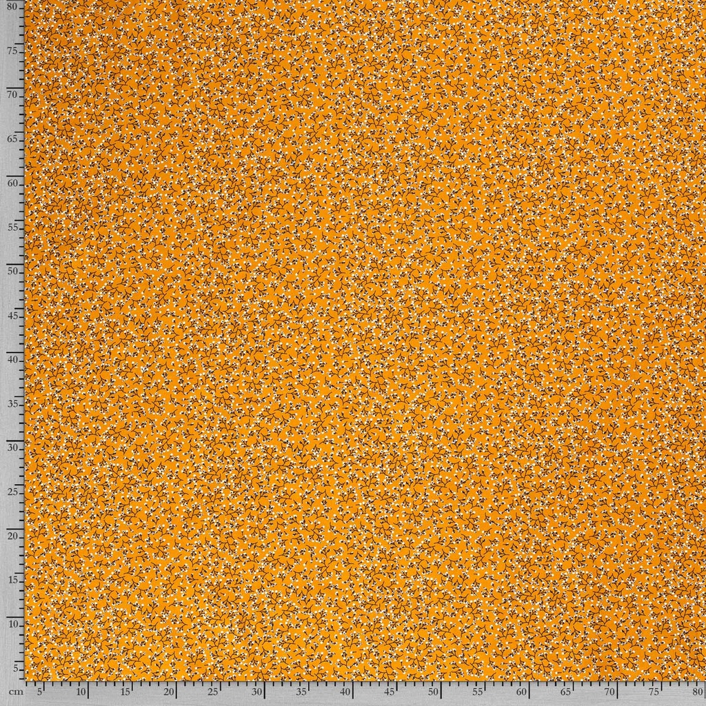 515554-034_F.jpg